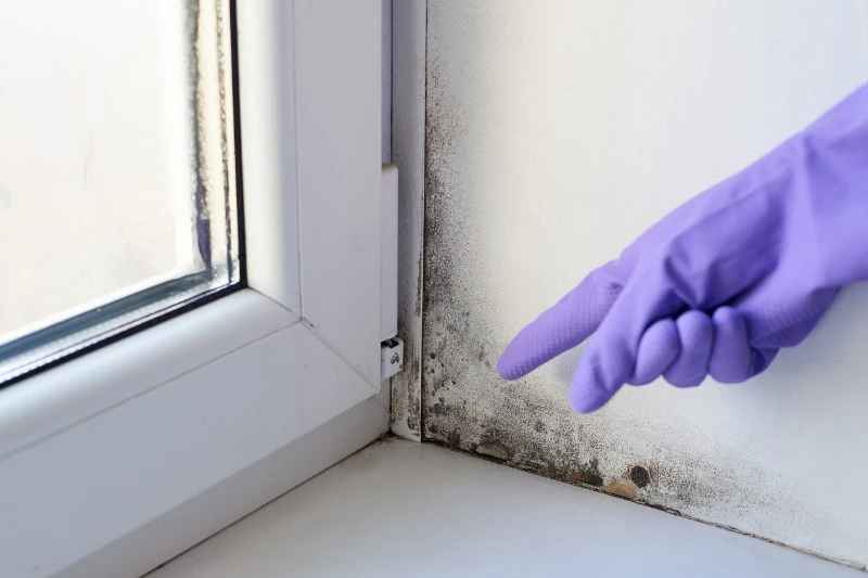 Mold Maintenance Procedures For Supervisors And Managers For Construction