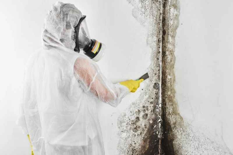 Mold Remediation & Restoration For Supervisors And Managers For Construction