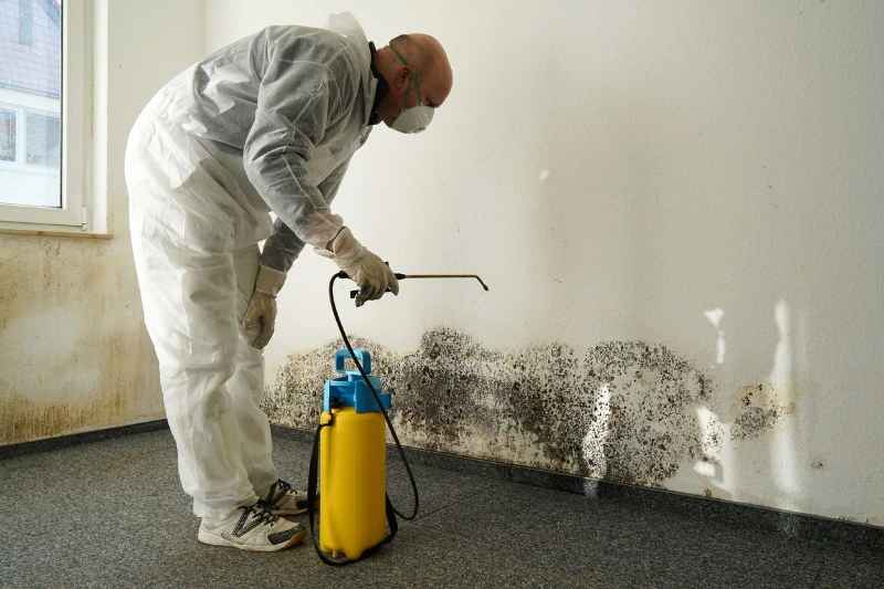Managing Mold Issues For Fixed Site Facilities For Supervisors And Managers For Construction