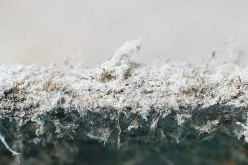Asbestos Awareness For General Industry