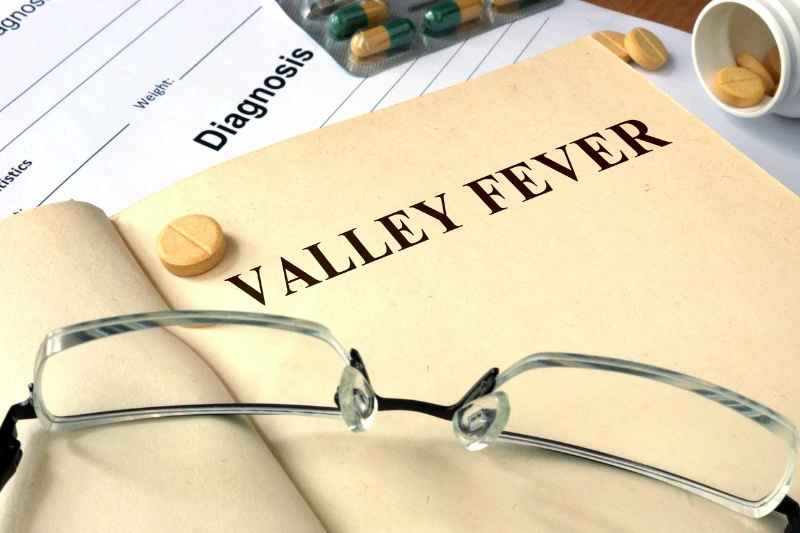 Valley Fever Awareness For All Industries